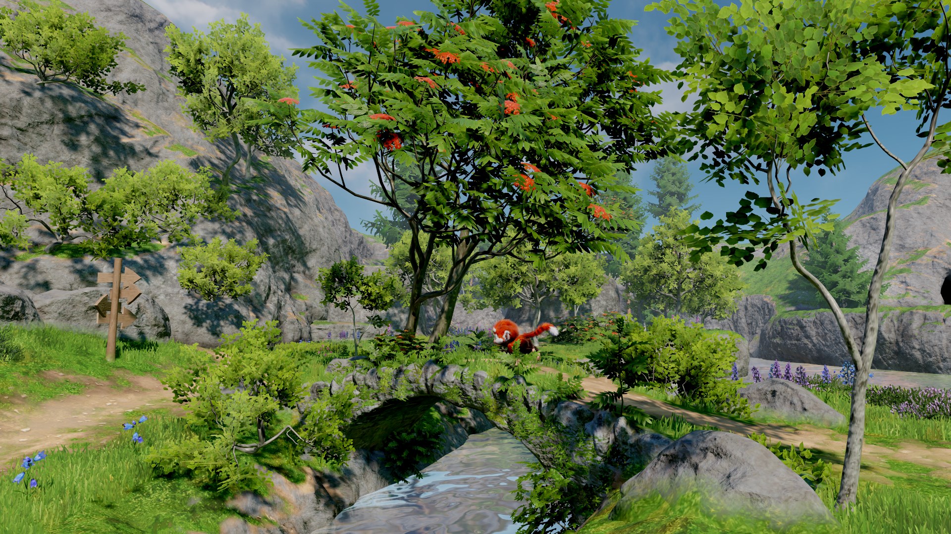 Tamarin Trailer