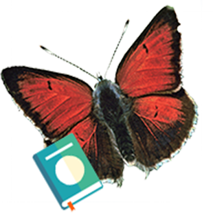 Butterflies of Greece - The Book