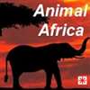 Animal Africa