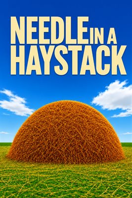 Needle in a Haystack