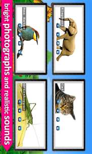 Kids zoo, Animal sounds and pictures screenshot 5