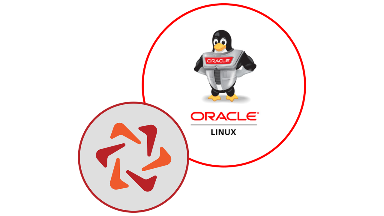 Oracle Logo Png Download Oracle Linux Logo 500x590 PNG Download PNGkit ...