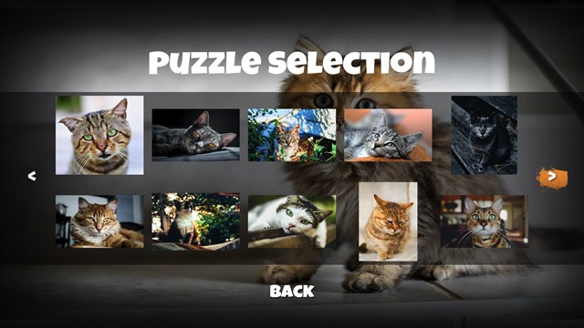 Jigsaw Puzzle Cats screenshot 4