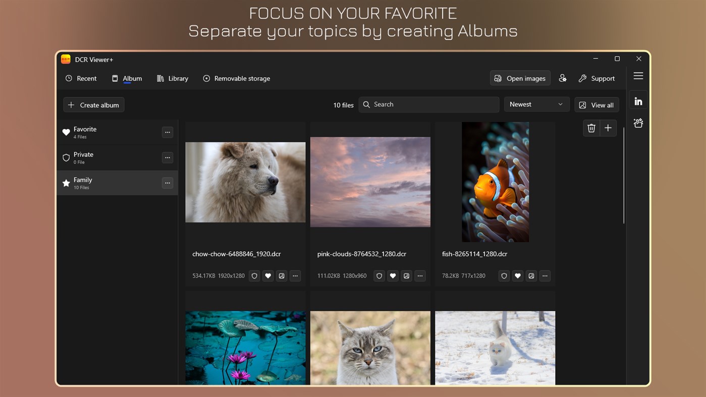 #3. DCR Viewer+ - DCR to JPG (Windows) By: IO Vision