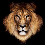 King Slots - Free Slots Casino