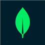 MongoDB based Customer Onboarding Application icon