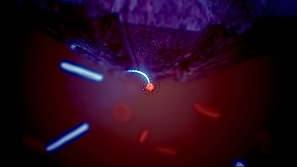 Coronavirus: Doom and Destiny 2 — 5