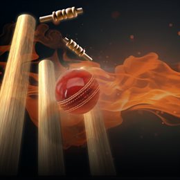 Aperçu Ashes Cricket