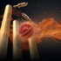 Ashes Cricket