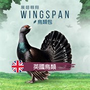 沒有可用的標題