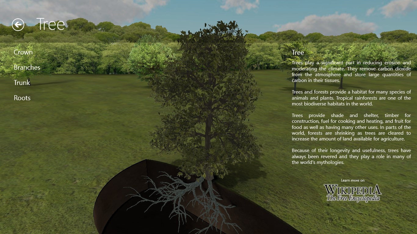 Tree interactive page