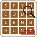 Detective Search — Find Hidden Clues
