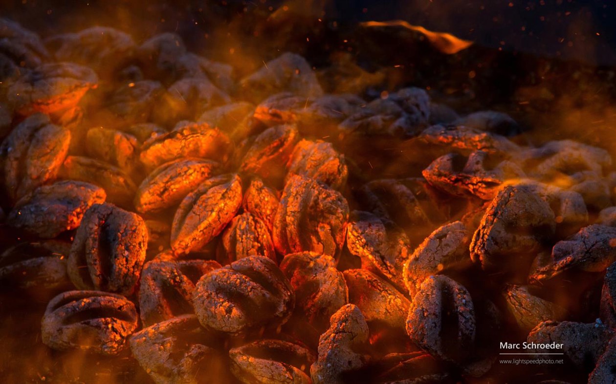 #1. Fire by Marc Schroeder (Windows) 由: Microsoft Corporation