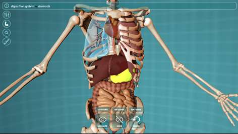 Visual Anatomy - Human Body Screenshots 1