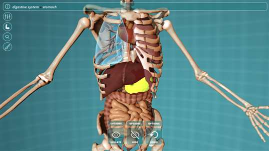 Visual Anatomy - Human Body screenshot 1