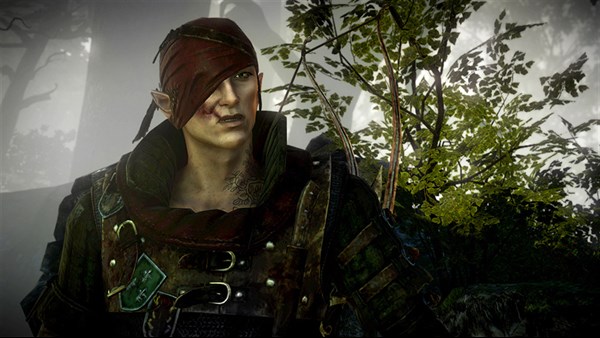 The Witcher 2: Assassins of Kings — 9