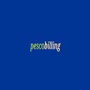 PESCO Bill Checker icon