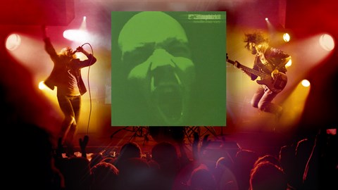 "Build a Bridge" - Limp Bizkit