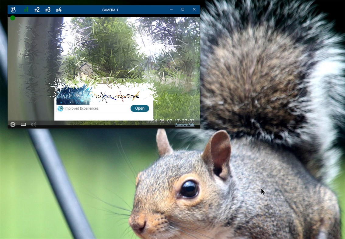 #4. RTSP Client for Wyze Free (Windows) 由: Ciro