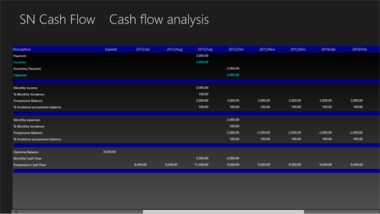 SN Cash Flow screenshot 2