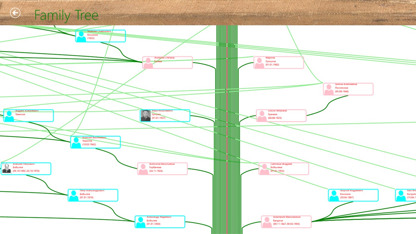 #5. The Family Tree of Family (Windows) By: familytree.ru