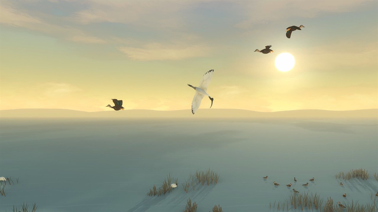 Storm Boy screenshot 3