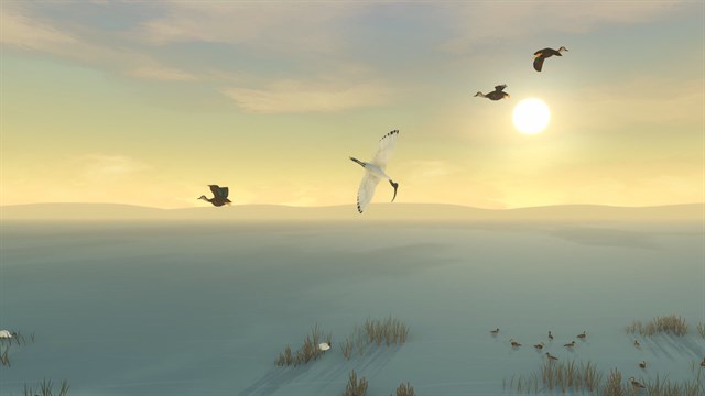 Storm Boy screenshot 3