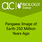 AC Biology: Pangaea: Image of Earth 250 Million Years Ago