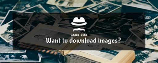 Bulk Image downloader - Image Duke marquee promo image