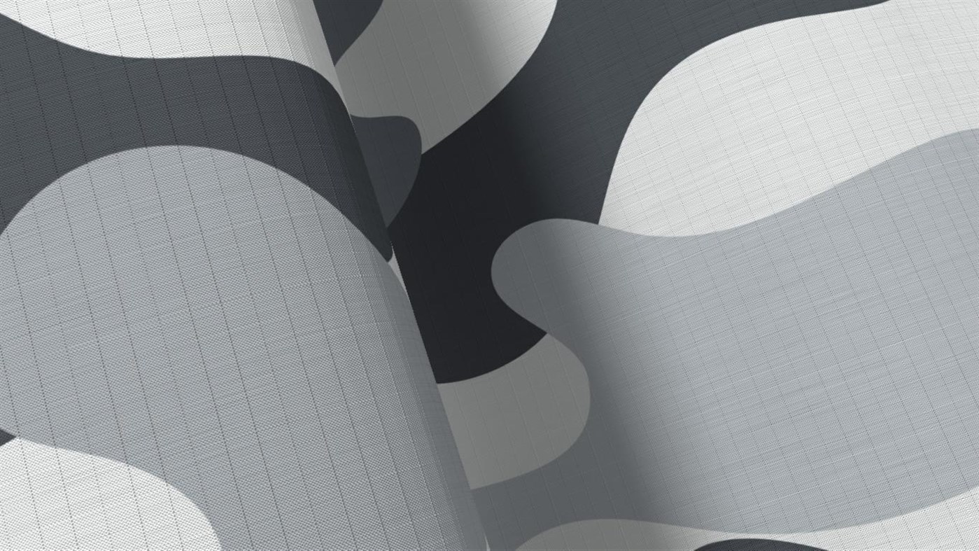 #2. Arctic Camo Special Edition (Windows) 由: Microsoft Corporation