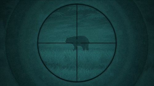 theHunter: Call of the Wild™ - Scopes and Crosshairs Pack