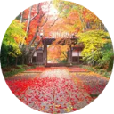 Japan Wallpaper New Tab icon