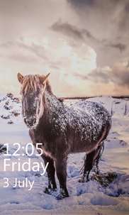 Horse Wallpapers HD screenshot 3