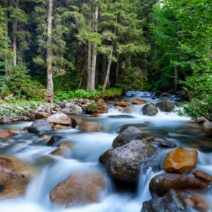 River Rapids Exploration