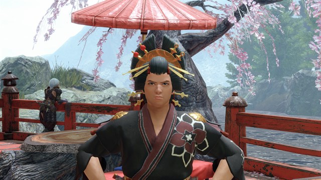 "Theater Wig" Hunter layered armor piece screenshot 1