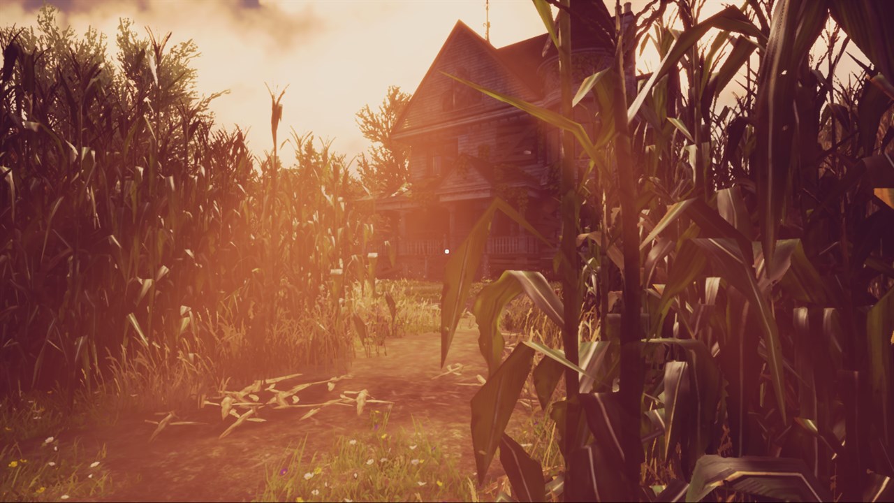 Maize screenshot 6