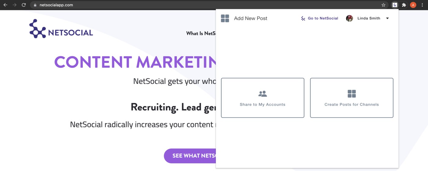 NetSocial Sharing Extension