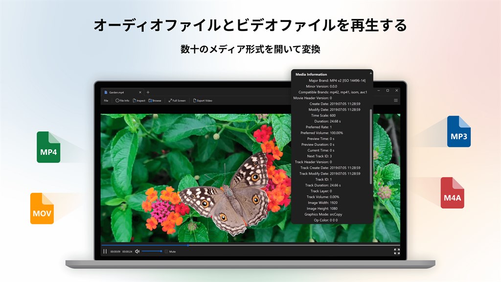 File Viewer Plus_4