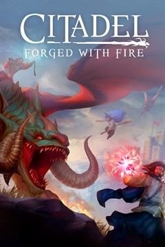 Cover poster for Citadel: Forged with Fire