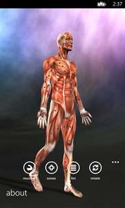 Muscle Trigger Points Anatomy screenshot 7