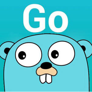 json2go icon