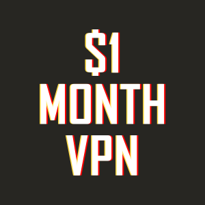 $1 month VPN