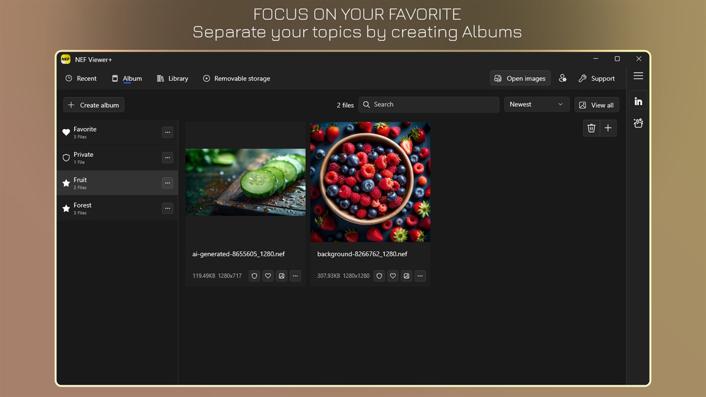 #3. NEF Viewer+ - NEF to JPG (Windows) بواسطة: IO Vision