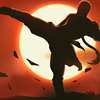 Kungfu Shadow Fighting