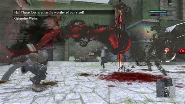 NIER — 8