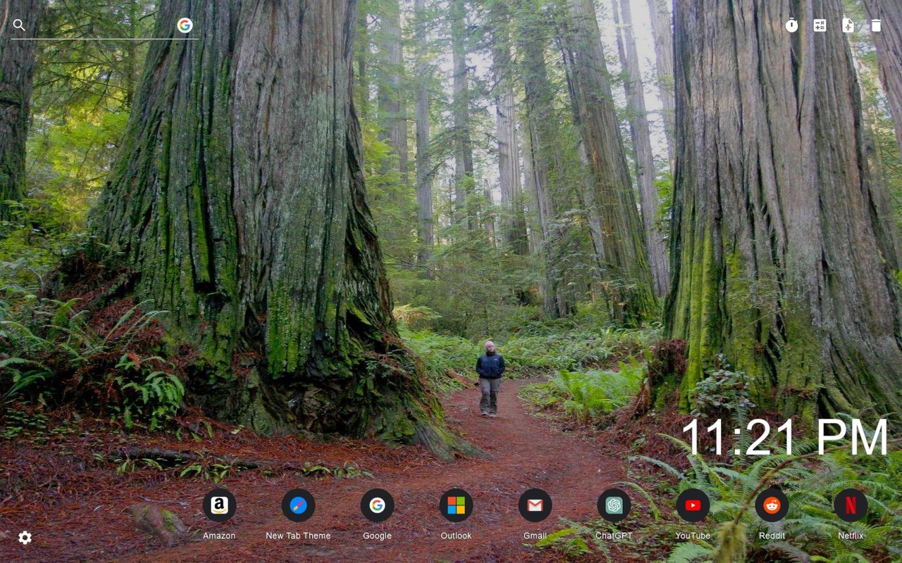 Redwood National And State Parks New Tab
