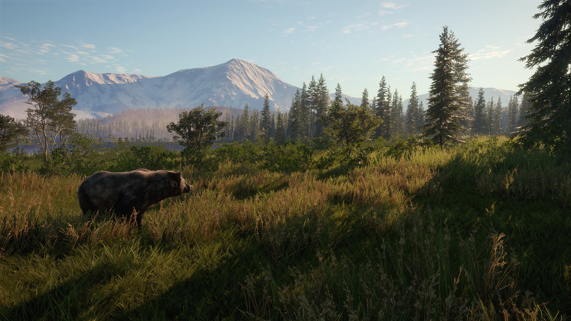 TheHunter: Call Of The Wild Diamond Bundle Steam CD Key