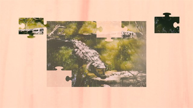 Wild Animal Jigsaw Puzzles - Classic Animal Puzzles screenshot 4