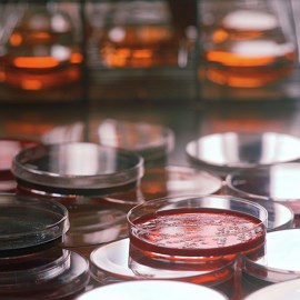 Buy Usmle Step 1 Pathology Flashcards Microsoft Store