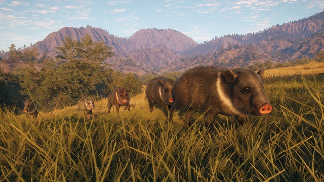 theHunter Call of the Wild - Rancho del Arroyo - Windows 10 screenshot 4
